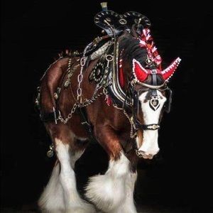 Meet your Posher, Sandra k